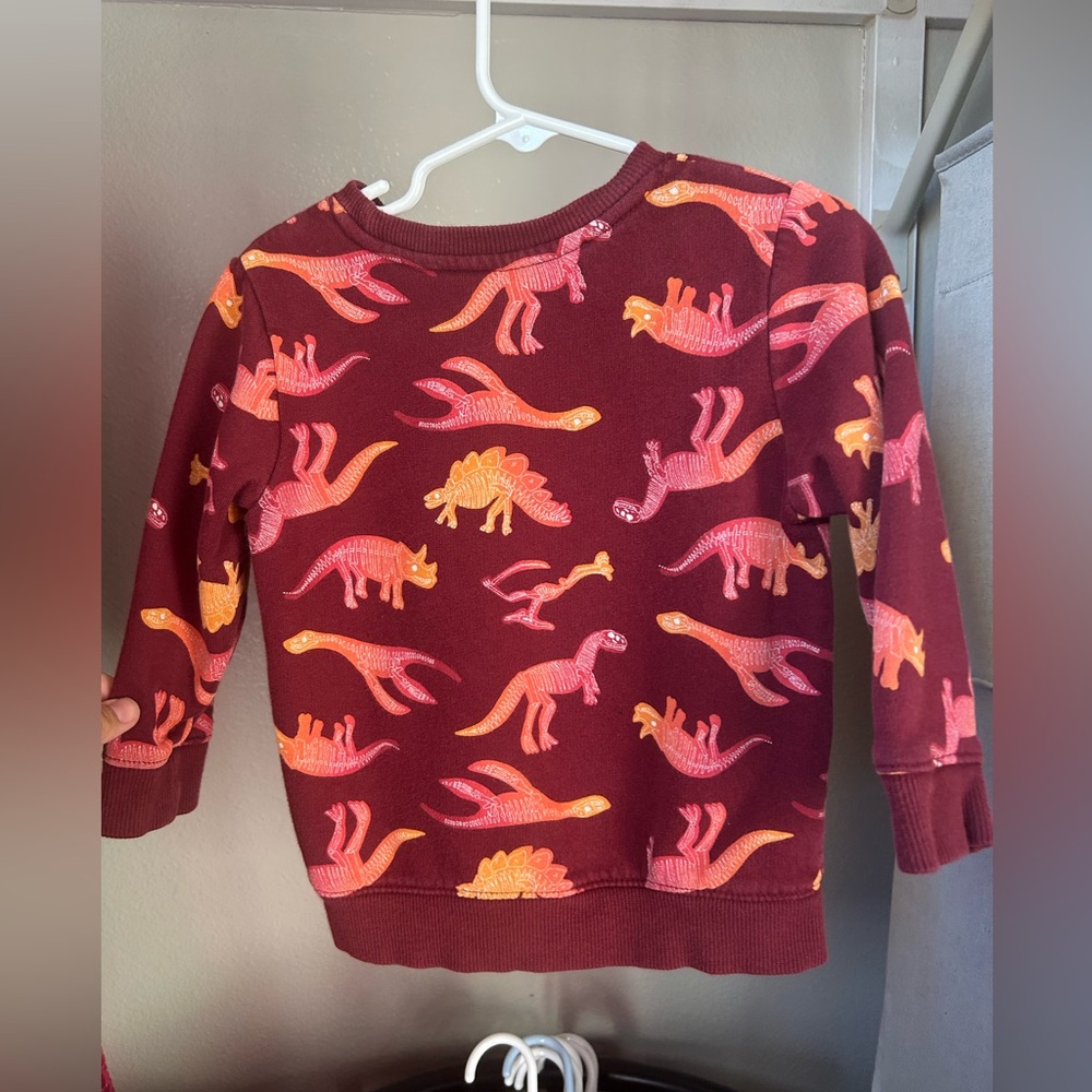 Cat & Jack Dinosaur Print Kids Sweatshirt - Maroon